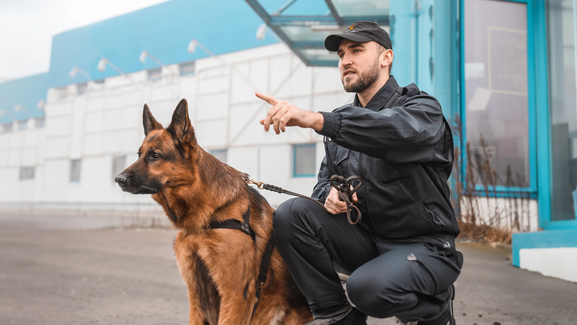 K9 security guard in Guard Mark uniform handles watchdog, securing premises against theft, vandalism with vigilance.
