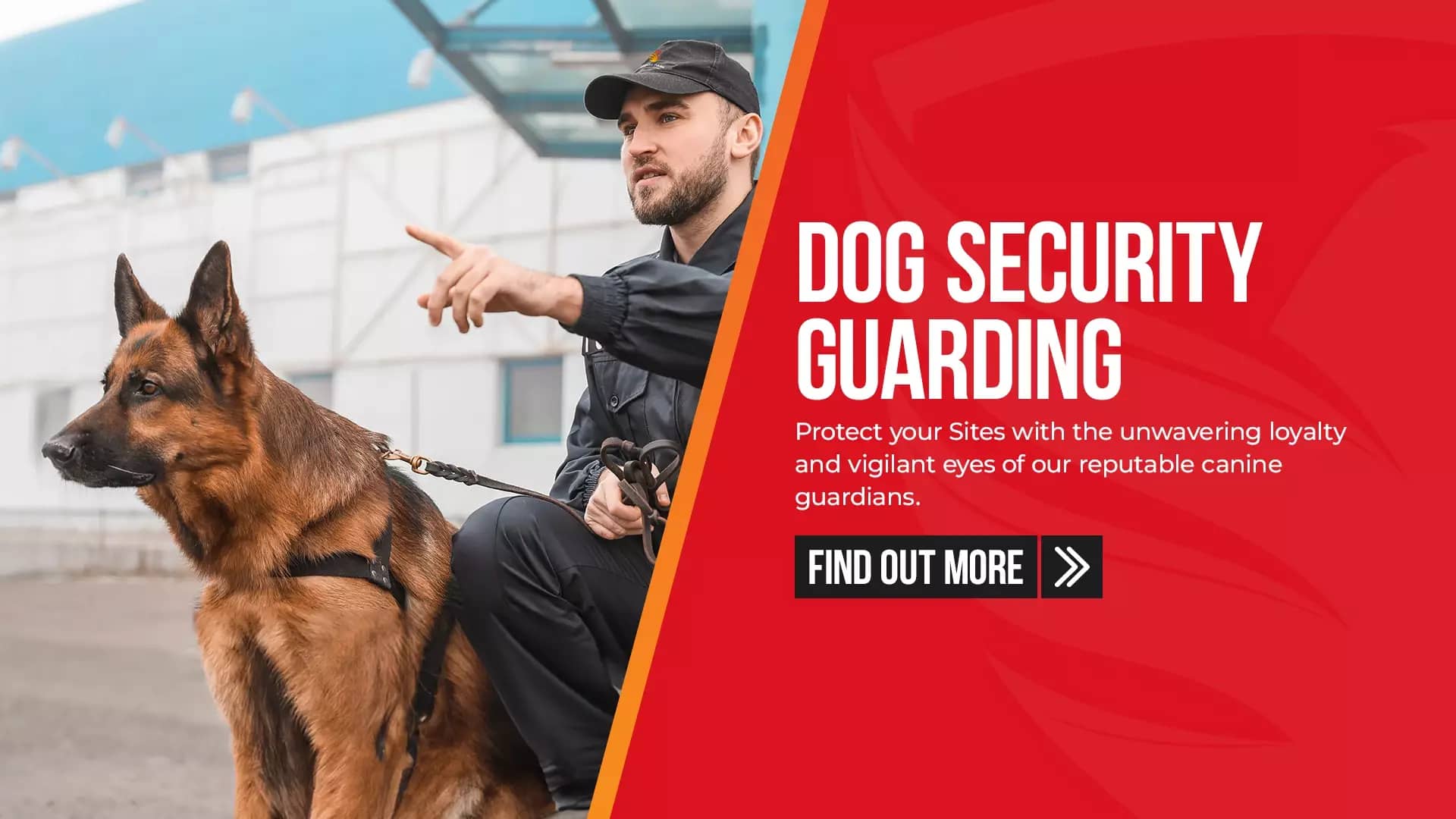 Dog Security K9 by guard mark security